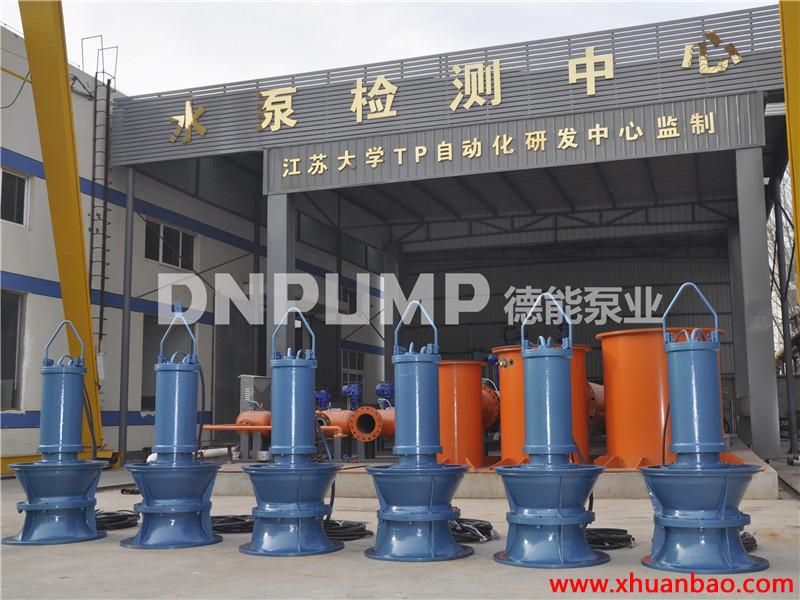 安徽池州轴流泵系列产品斜拉式水泵厂家直销