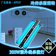 冻库紫外线灯可低温启动大功率冷库杀菌消毒除味高强度XPES工厂